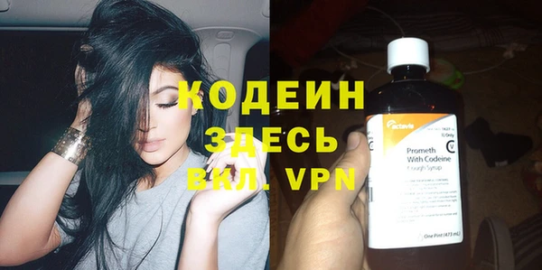 прущие грибы Абаза