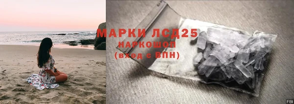 прущие грибы Абаза