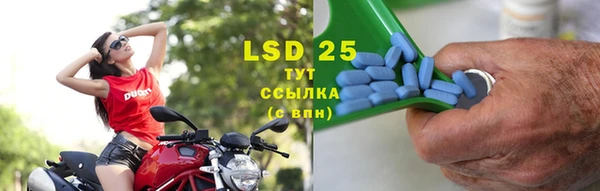 прущие грибы Абаза