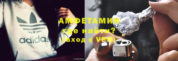 прущие грибы Абаза