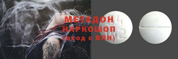 прущие грибы Абаза