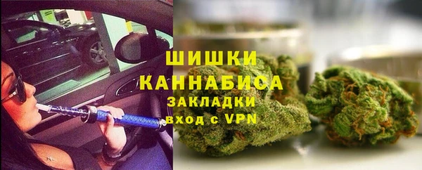 прущие грибы Абаза