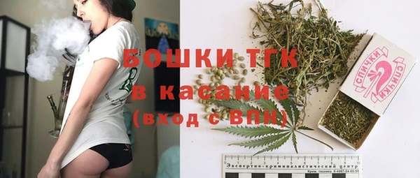 прущие грибы Абаза