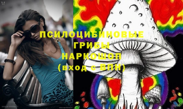 винт Абинск