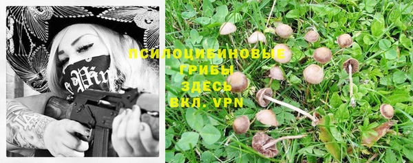 винт Абинск